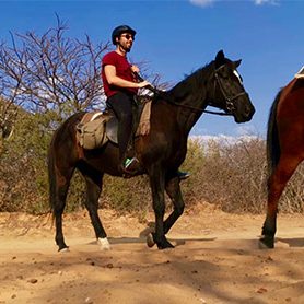 horseback safari