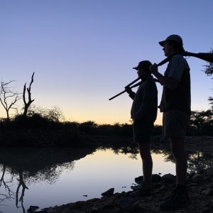 dawn hunting