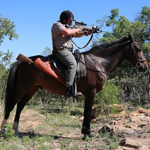 horseback hunting